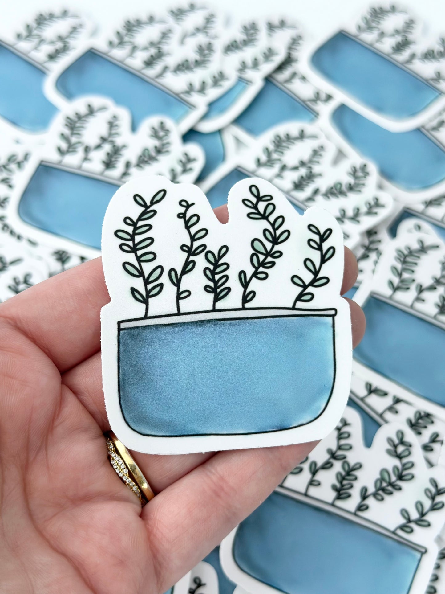 Eucalyptus Plant | Sticker