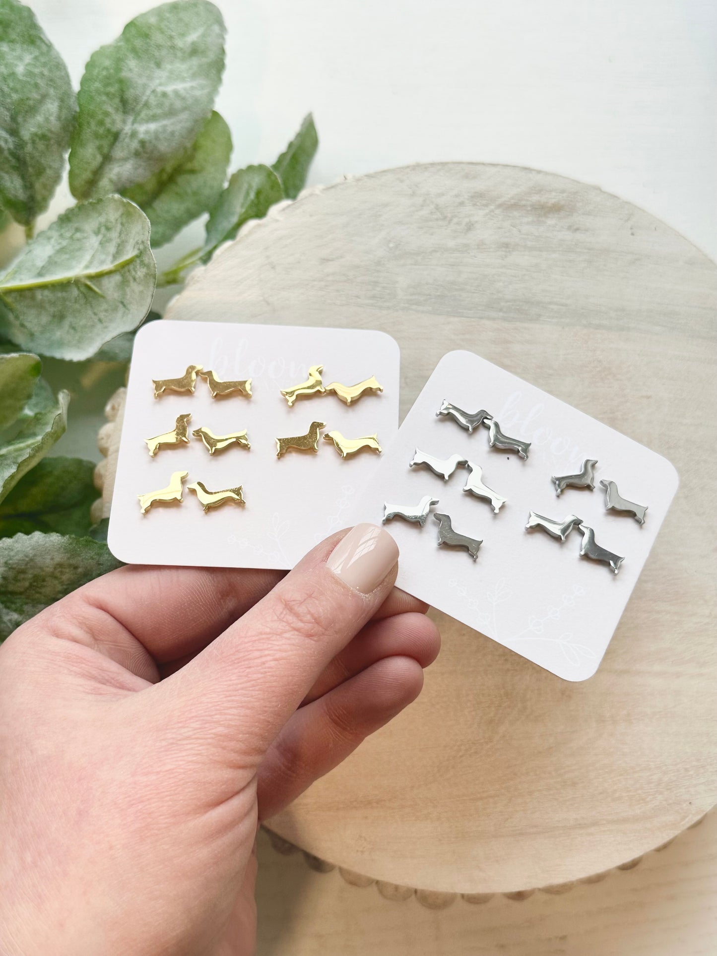 Dachshunds | Add-On Stud Packs (5 pair)