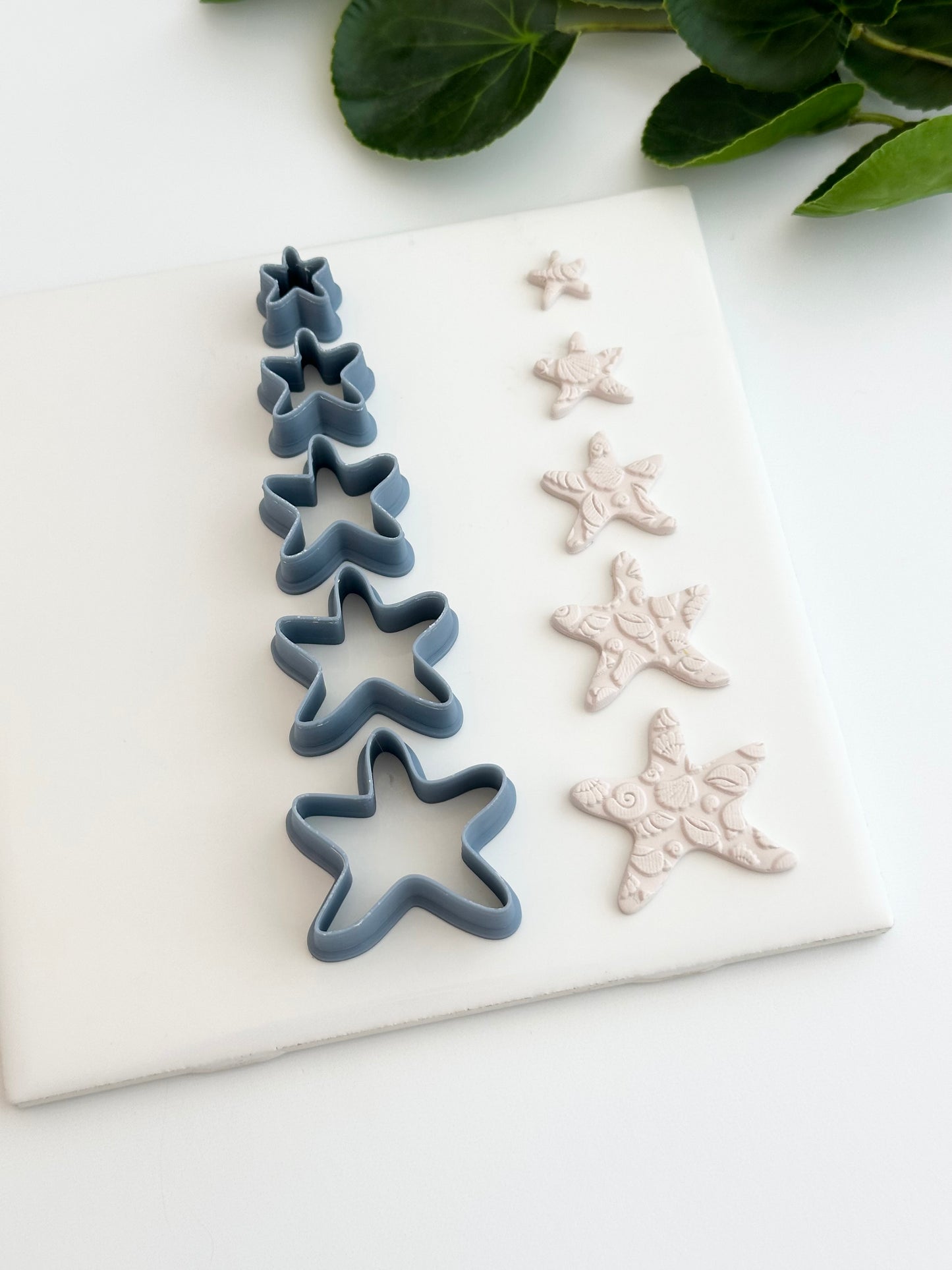 Starfish | Polymer Clay Cutter