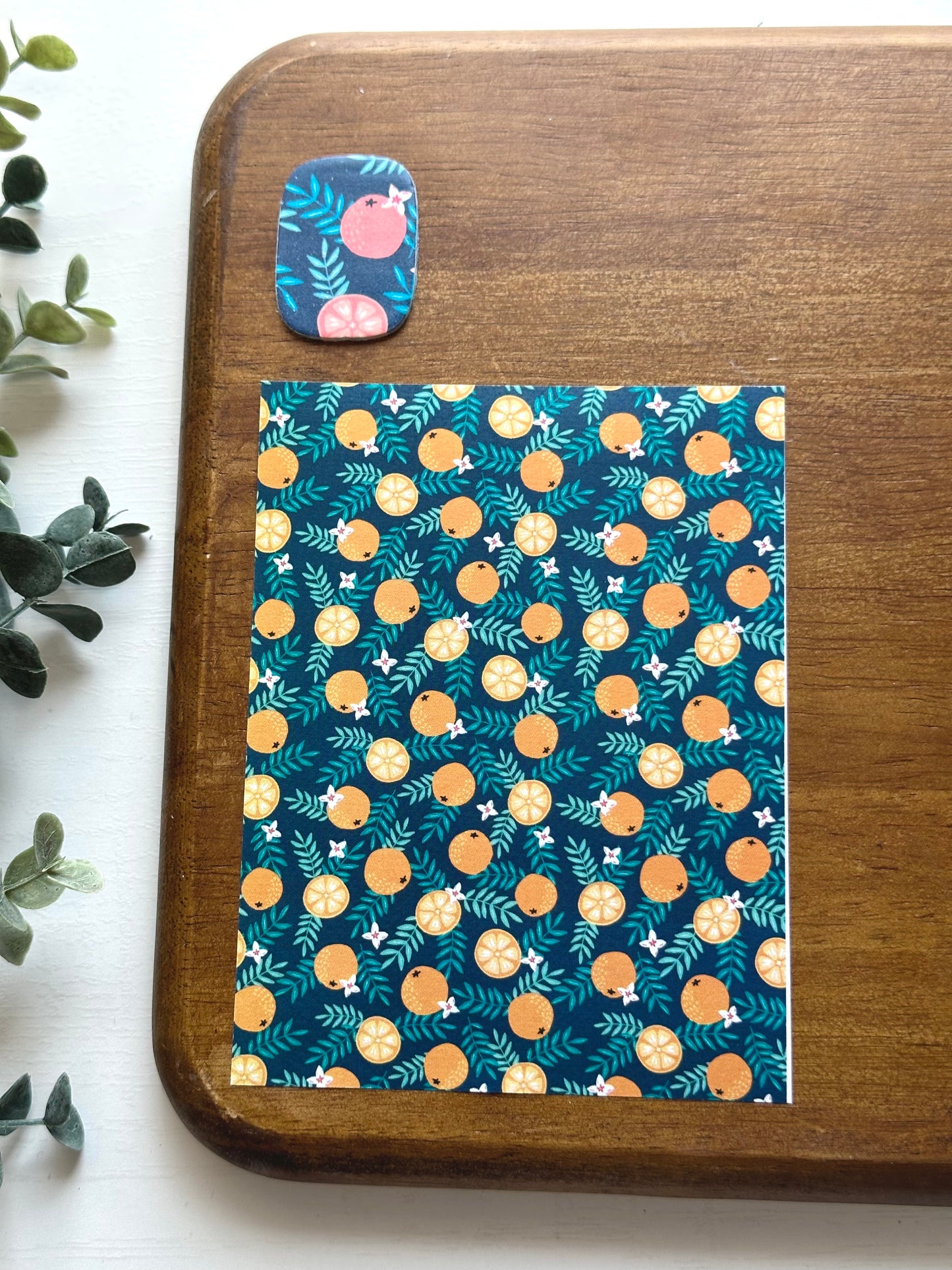 Orange Slices | FR16 | Image Transfer Paper