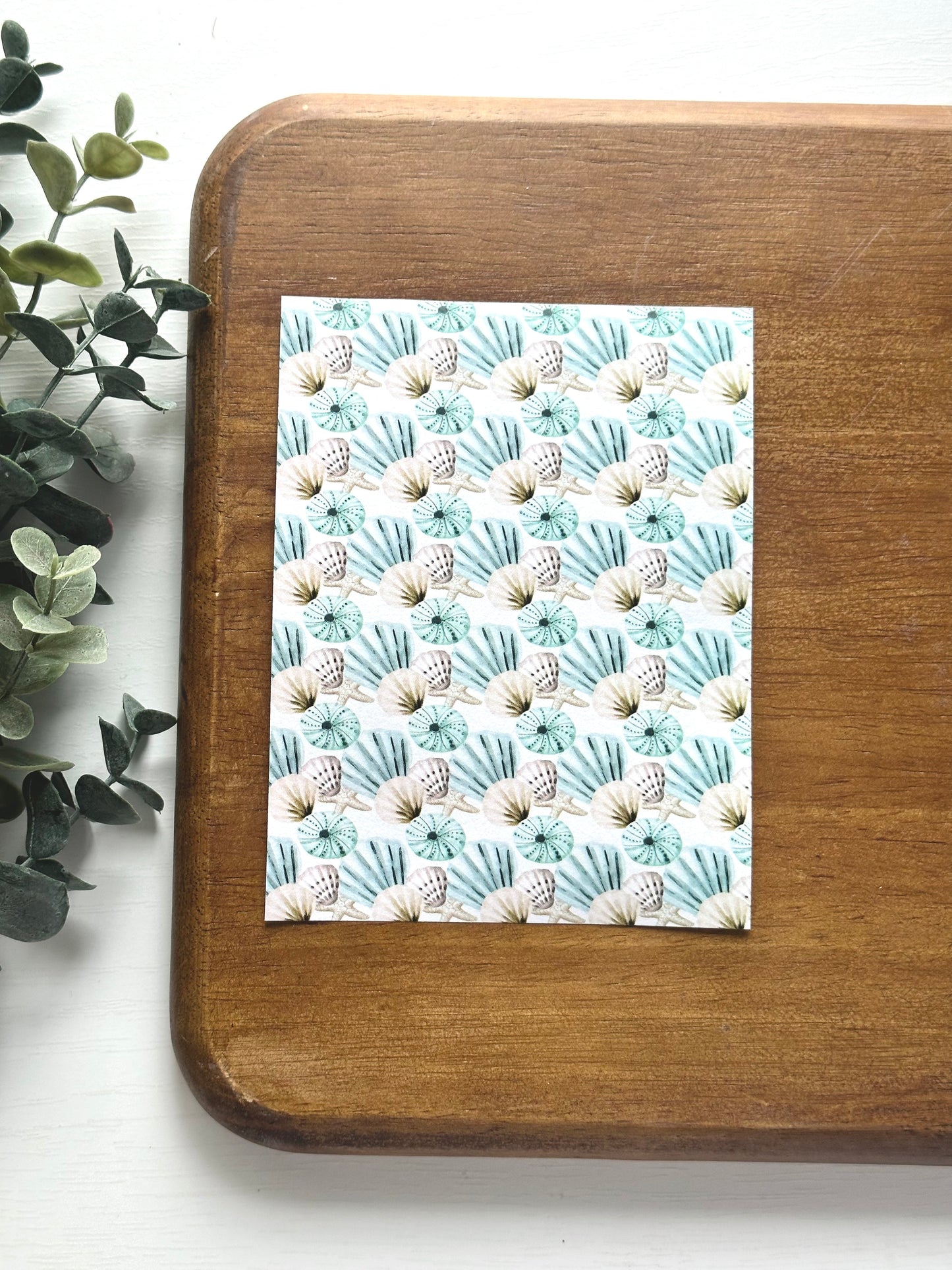 Seashells B | SU08 | Image Transfer Paper