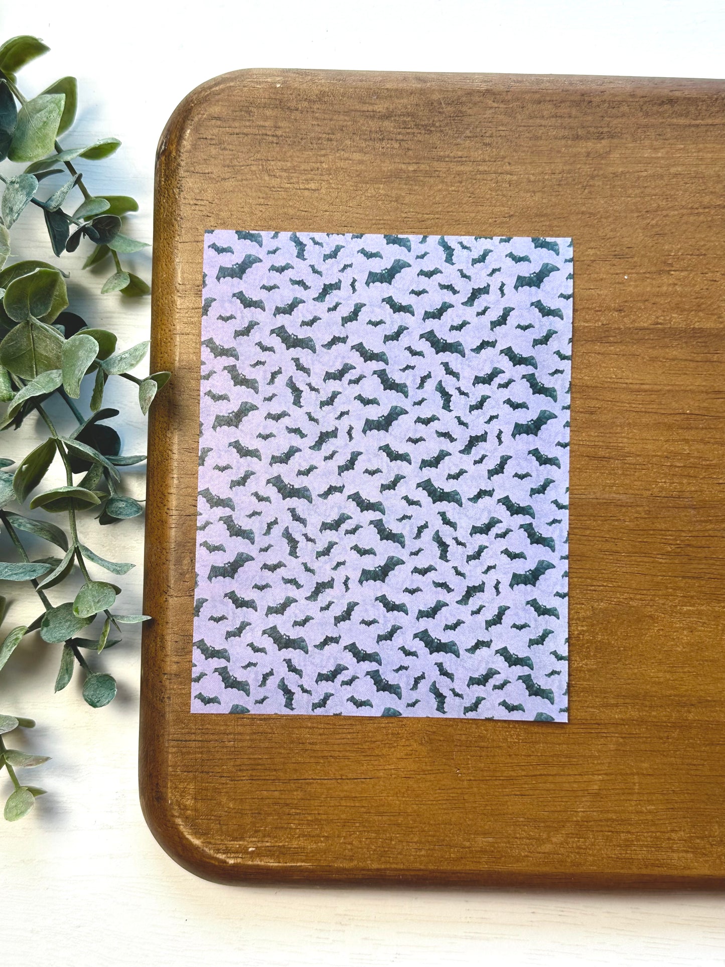 Purple Bats | HW04 | Image Transfer Paper