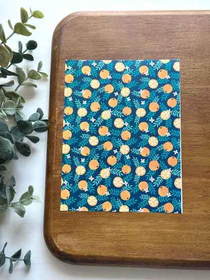 Orange Slices | FR16 | Image Transfer Paper