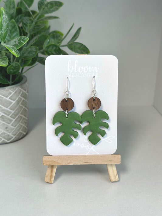 Monstera Dangles