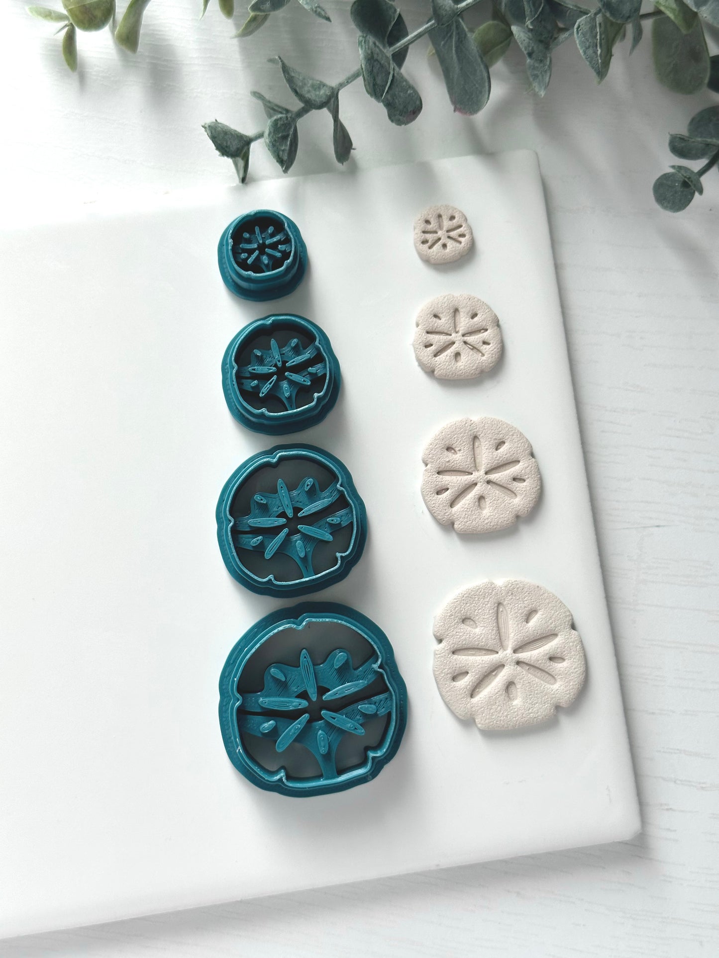 Sand Dollar | Polymer Clay Cutter