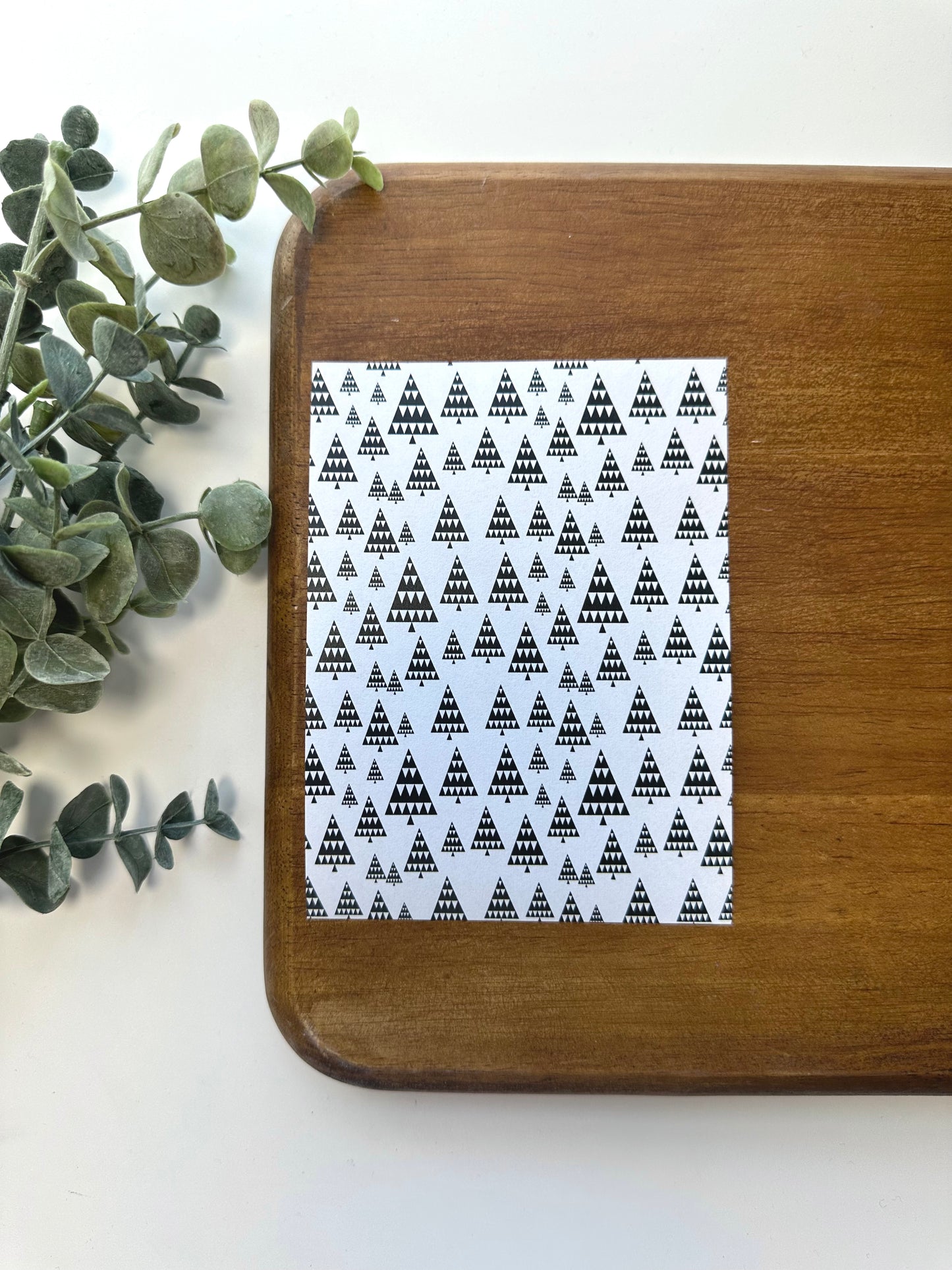 Black & White Trees | CH20 | Image Transfer Paper