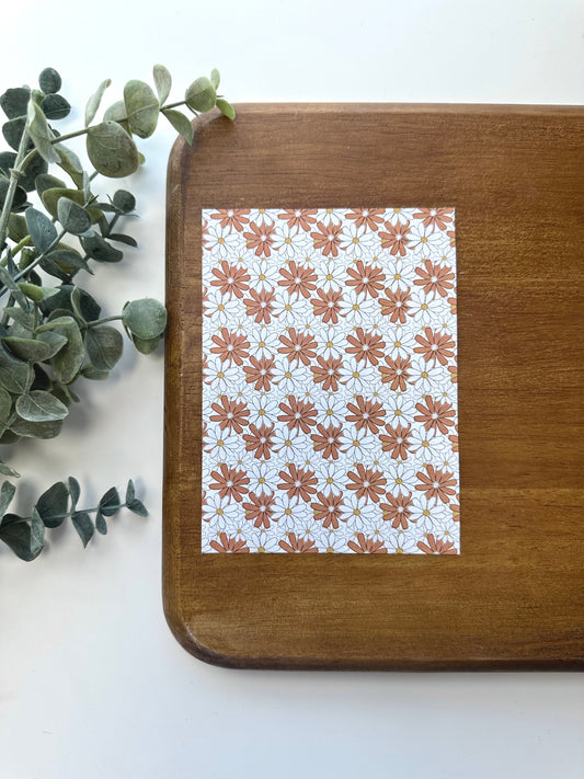 Orange and White Daisies | RT06 | Image Transfer Paper