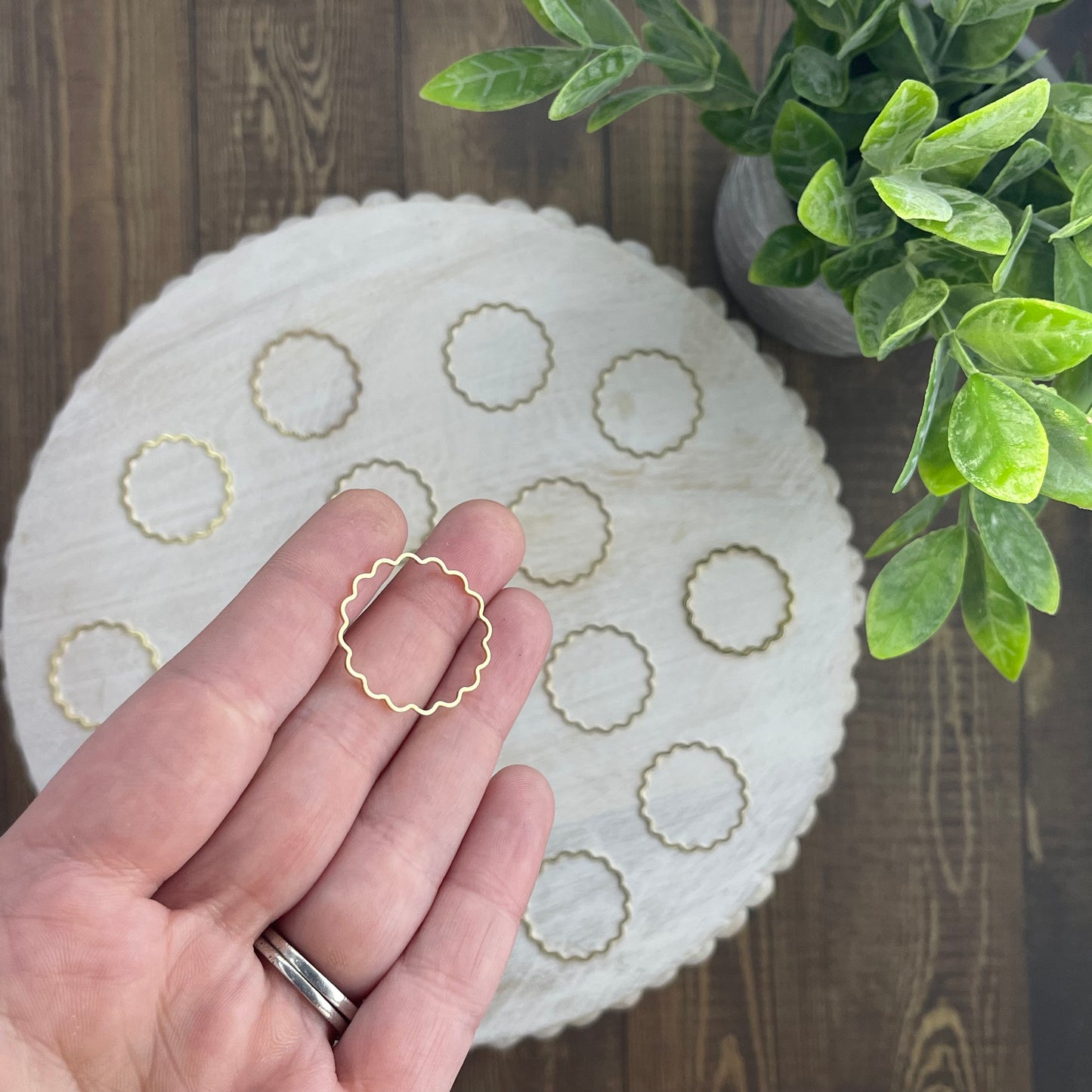 Scallop Circle - Gold (10pc)