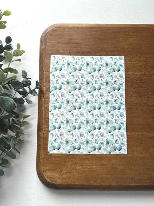 Eucalyptus | BT20 | Image Transfer Paper