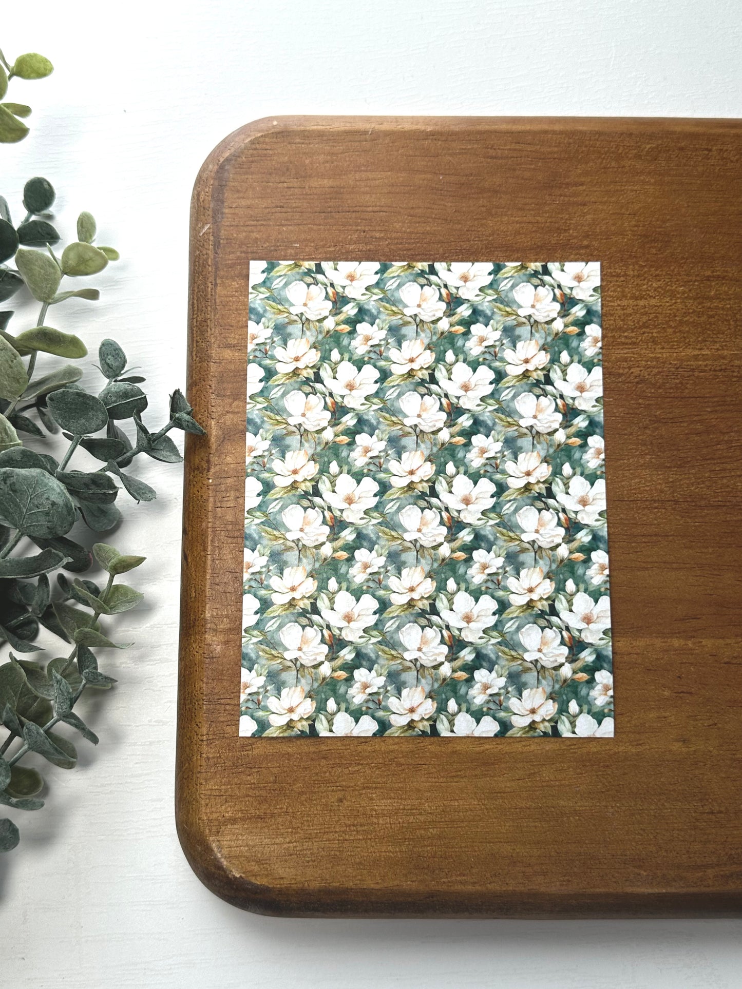 Magnolias | FL048 | Image Transfer Paper